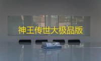 神王传世大极品版